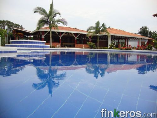Finca a Pereira: il comune con più offerta della Colombia
